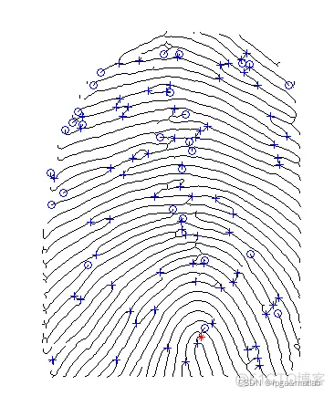 【指纹识别】基于MATLAB/FPGA的指纹识别算法仿真实现_特征点_07